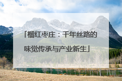 榴红枣庄：千年丝路的味觉传承与产业新生