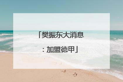 樊振东大消息：加盟德甲