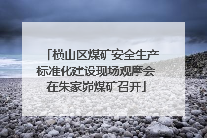 横山区煤矿安全生产标准化建设现场观摩会在朱家峁煤矿召开