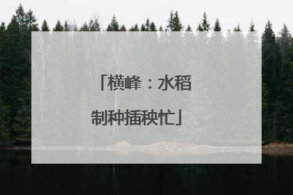 横峰：水稻制种插秧忙