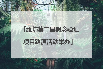潍坊第二届概念验证项目路演活动举办