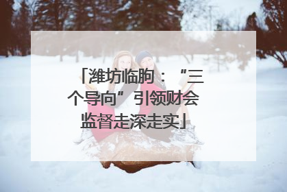 潍坊临朐：“三个导向”引领财会监督走深走实