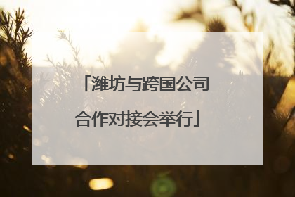 潍坊与跨国公司合作对接会举行