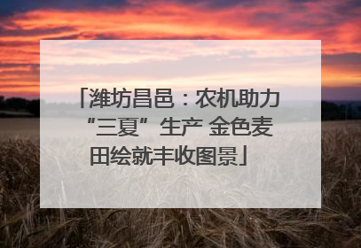 潍坊昌邑：农机助力“三夏”生产 金色麦田绘就丰收图景