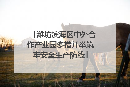 潍坊滨海区中外合作产业园多措并举筑牢安全生产防线