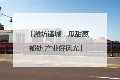 潍坊诸城：瓜甜葱郁处 产业好风光