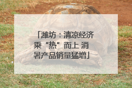 潍坊：清凉经济乘“热”而上 消暑产品销量猛增