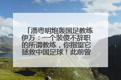 潘粤明炮轰国足教练伊万：一个装傻不辞职的所谓教练，你指望它拯救中国足球！此前曾多次发文评价国足