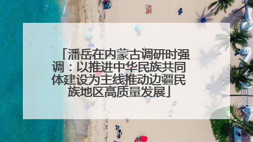 潘岳在内蒙古调研时强调：以推进中华民族共同体建设为主线推动边疆民族地区高质量发展