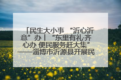 民生大小事 “沂心沂意”办丨“东里有礼·齐心办 便民服务赶大集”——淄博市沂源县开展民生政策宣传活动
