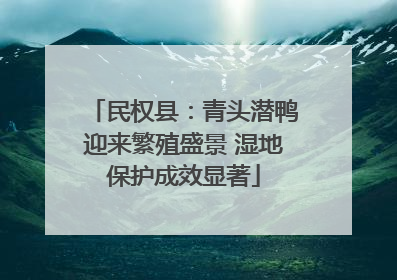民权县：青头潜鸭迎来繁殖盛景 湿地保护成效显著