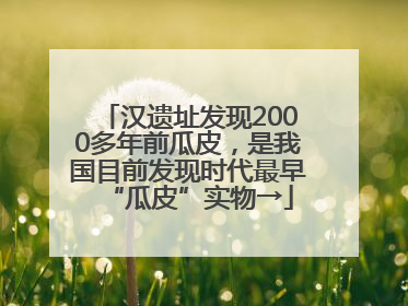 汉遗址发现2000多年前瓜皮，是我国目前发现时代最早“瓜皮”实物→