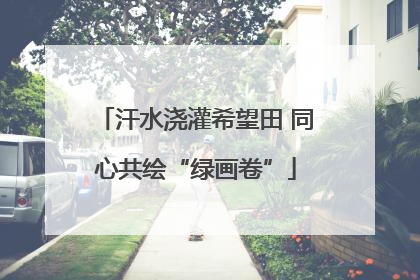 汗水浇灌希望田 同心共绘“绿画卷”