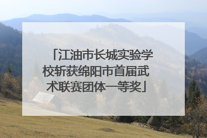 江油市长城实验学校斩获绵阳市首届武术联赛团体一等奖