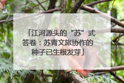 江河源头的“苏”式答卷：苏青文旅协作的种子已生根发芽