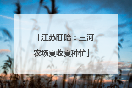 江苏盱眙：三河农场夏收夏种忙