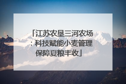 江苏农垦三河农场：科技赋能小麦管理保障夏粮丰收