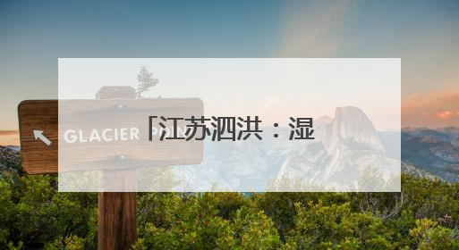 江苏泗洪：湿地白鹭育雏忙