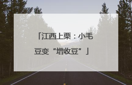 江西上栗：小毛豆变“增收豆”