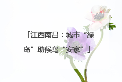 江西南昌：城市“绿岛”助候鸟“安家”