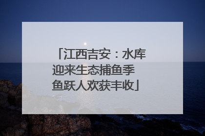 江西吉安：水库迎来生态捕鱼季 鱼跃人欢获丰收