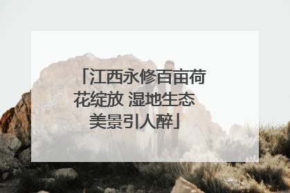 江西永修百亩荷花绽放 湿地生态美景引人醉