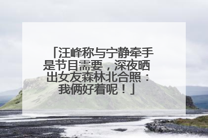 汪峰称与宁静牵手是节目需要，深夜晒出女友森林北合照：我俩好着呢！