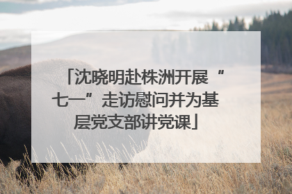 沈晓明赴株洲开展“七一”走访慰问并为基层党支部讲党课