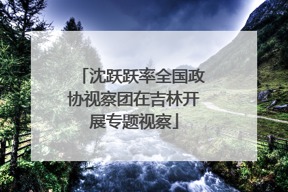 沈跃跃率全国政协视察团在吉林开展专题视察