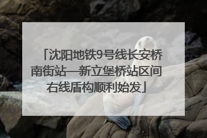 沈阳地铁9号线长安桥南街站—新立堡桥站区间右线盾构顺利始发