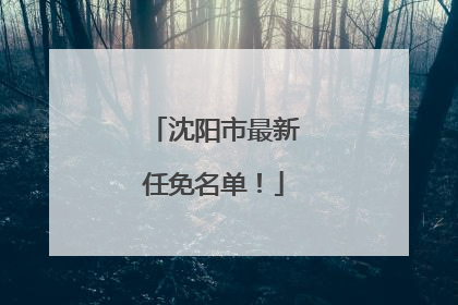 沈阳市最新任免名单！