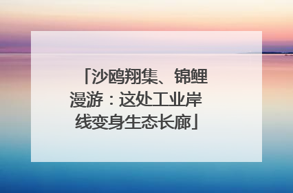 沙鸥翔集、锦鲤漫游：这处工业岸线变身生态长廊