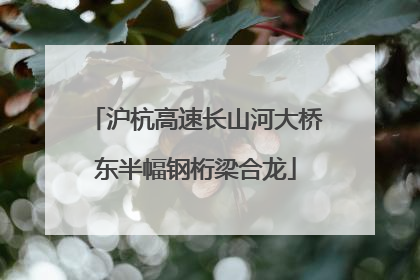 沪杭高速长山河大桥东半幅钢桁梁合龙