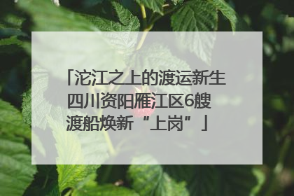 沱江之上的渡运新生 四川资阳雁江区6艘渡船焕新“上岗”