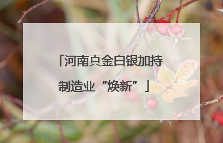 河南真金白银加持制造业“焕新”
