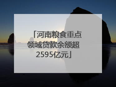 河南粮食重点领域贷款余额超2595亿元