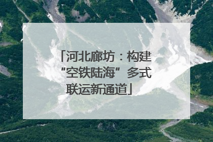 河北廊坊：构建“空铁陆海”多式联运新通道