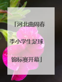 河北曲周春季小学生足球锦标赛开幕