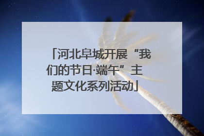 河北阜城开展“我们的节日·端午”主题文化系列活动