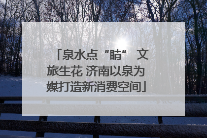泉水点“睛” 文旅生花 济南以泉为媒打造新消费空间