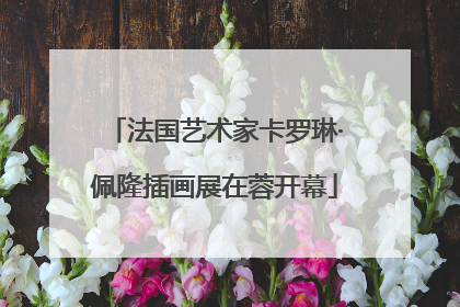 法国艺术家卡罗琳·佩隆插画展在蓉开幕