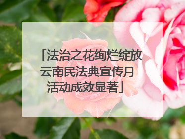 法治之花绚烂绽放 云南民法典宣传月活动成效显著