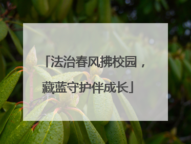 法治春风拂校园，藏蓝守护伴成长