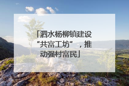泗水杨柳镇建设“共富工坊”，推动强村富民
