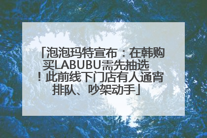 泡泡玛特宣布：在韩购买LABUBU需先抽选！此前线下门店有人通宵排队、吵架动手