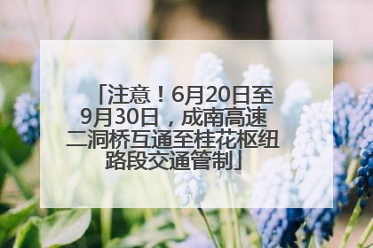 注意！6月20日至9月30日，成南高速二洞桥互通至桂花枢纽路段交通管制