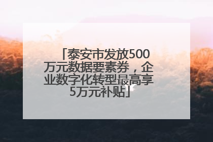 泰安市发放500万元数据要素券，企业数字化转型最高享5万元补贴