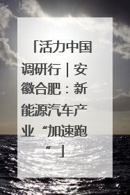 活力中国调研行｜安徽合肥：新能源汽车产业“加速跑”