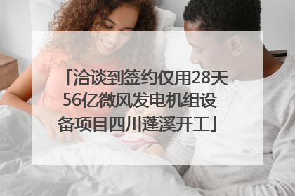 洽谈到签约仅用28天 56亿微风发电机组设备项目四川蓬溪开工