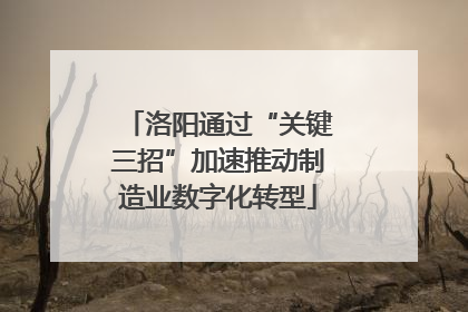 洛阳通过“关键三招”加速推动制造业数字化转型